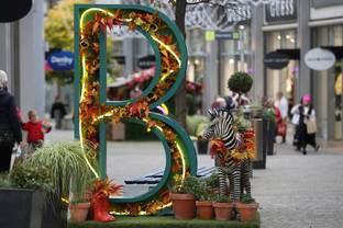 New Look to open first outlet store in Northern Ireland