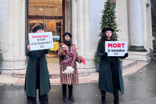 Peta au Printemps Haussmann Paris : « Stop a la fourrure. Mort à vendre »