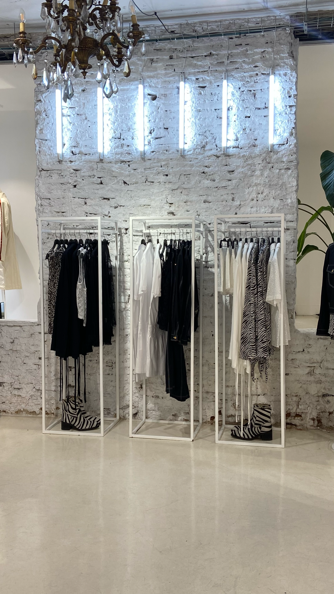 Imagen: Pop-Up Palomo Spain