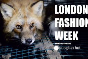 Petition calls on the BFC to ban fur from London Fashion Week