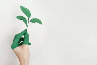 42 percent of companies exaggerate sustainability claims, says new report