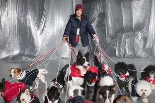 Moncler Poldo Dog Couture: Luxusmode für Hunde