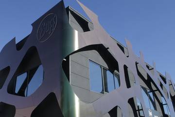 Buff internalizará el 100 por cien de su producción para 2025