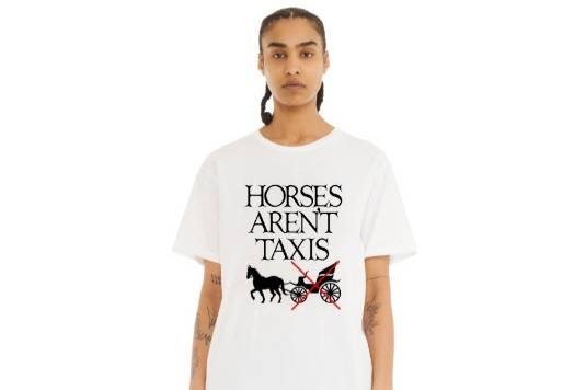 Collinda Strada supports ban on horse-drawn carriages in New York