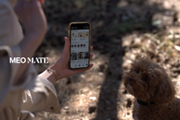 Van high-end pet fashion naar innovatieve community-app: MEOMARI lanceert MEO MATE