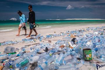 These were the sustainability efforts of the fashion industry in 2020