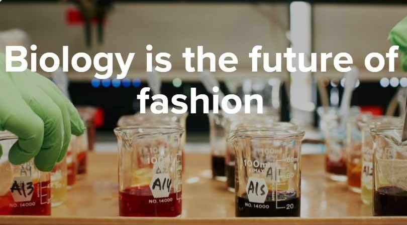 Sustainable textile innovations: bio yarn made from kelp fibres