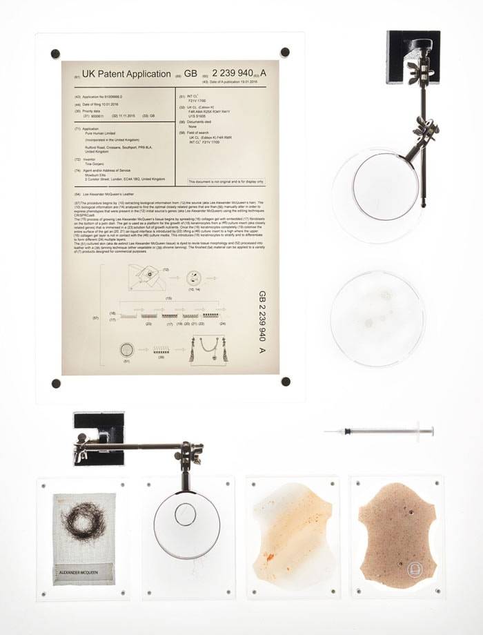 Alexander McQueen's DNA to be used for controversial design project
