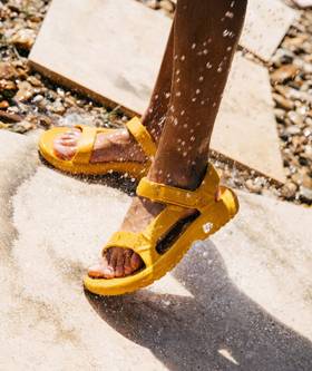 Collection image Teva