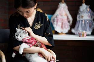 Designer presents pet fashion line inspired by traditional Chinese dress