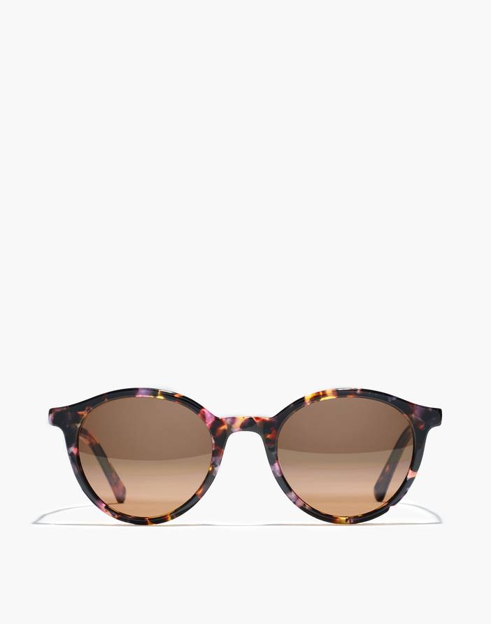 Layton Sunglasses | Madewell