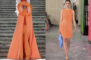 Spotted on the catwalk: WGSN and Coloro's colour of the year 2024 Apricot Crush