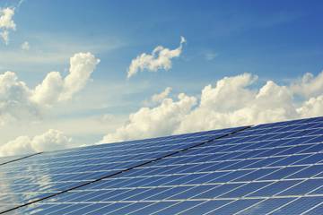 Tapestry, Inc. teams up with Pivot Energy to develop solar projects