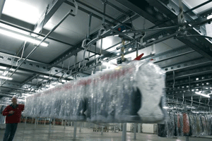 FashionCare: Sample Handling op Schiphol