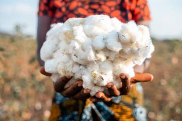 Aid by Trade Foundation introduces new transparency standard for cotton