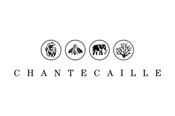 Chantecaille expands Asian presence with Tmall