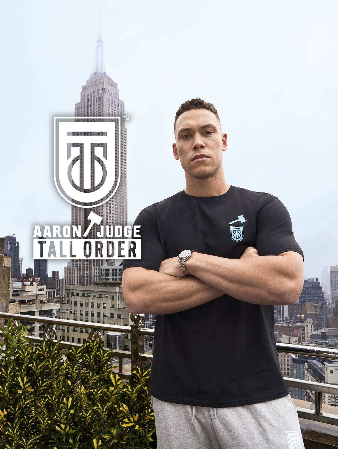 Aaron Judge for Tall Order