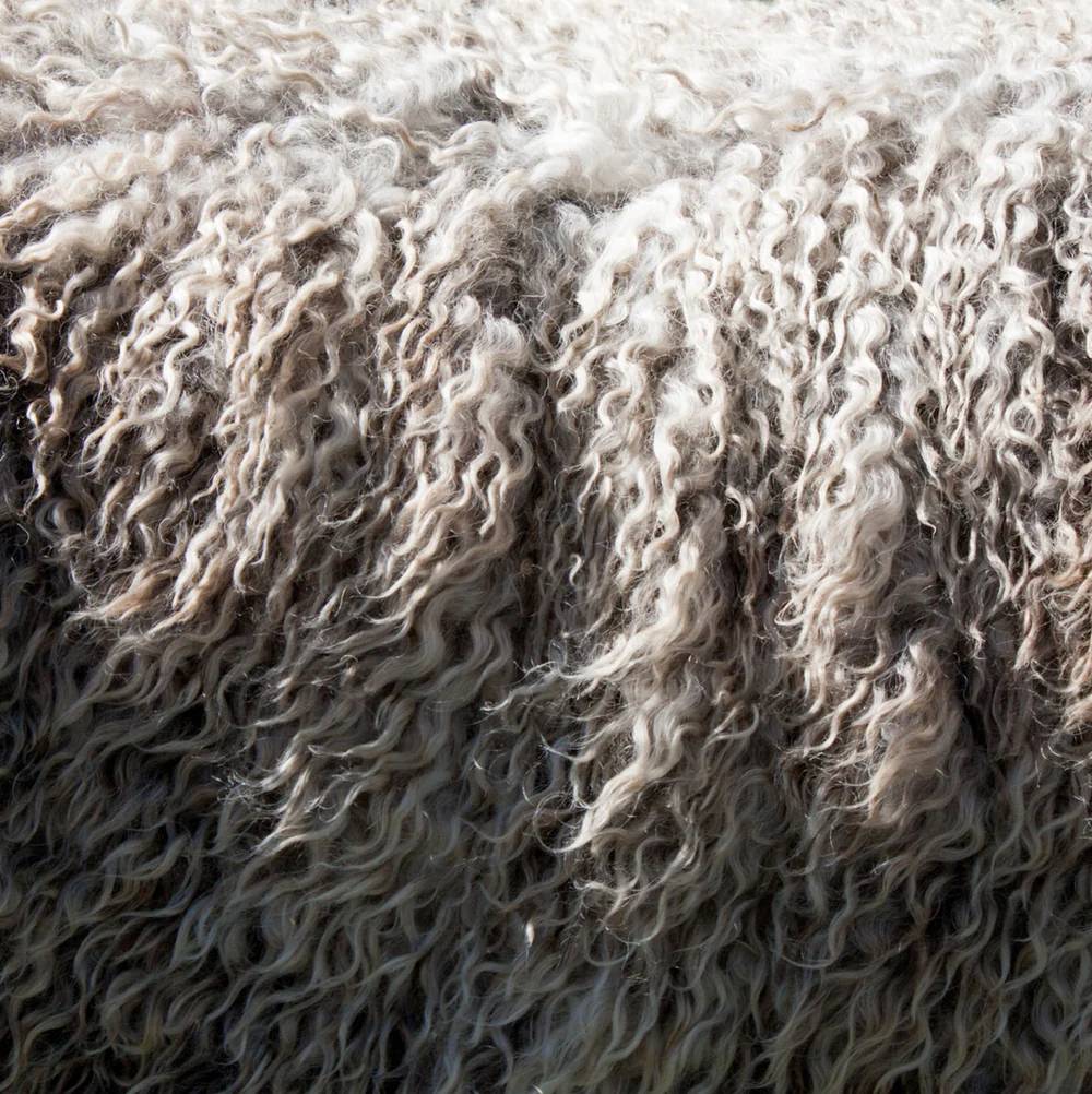 Wool