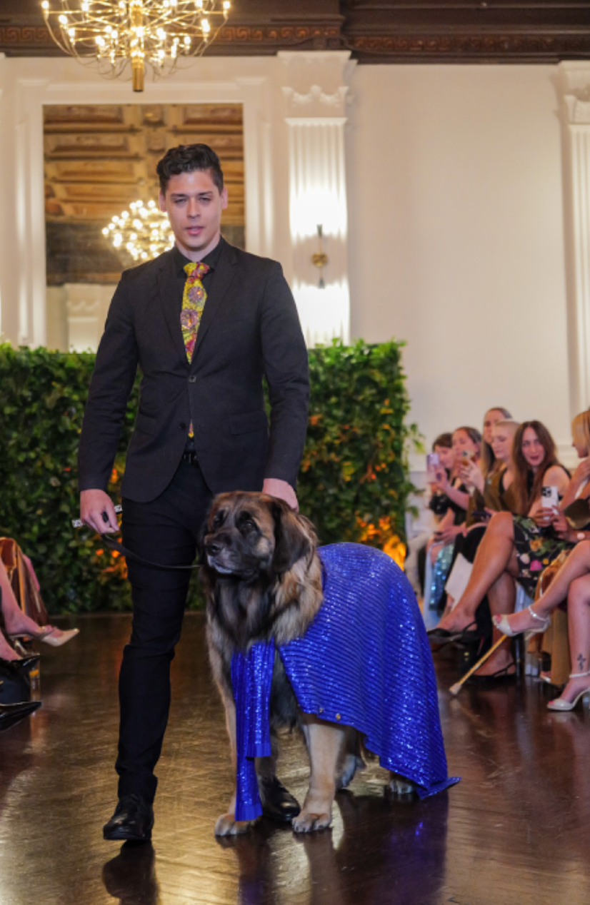 Leonberger Superman wore a blue cape that matched the Valentino cape of Colman Domingo.