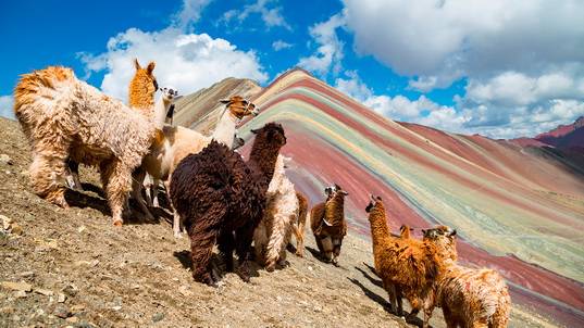 Madrid y Amsterdam son las ciudades anfitrionas del evento, mostrando lo mejor de la oferta peruana de ropa y accesorios hecha con fibra de alpaca y textiles del hogar