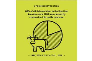 VF Corp stops sourcing leather from Brazil