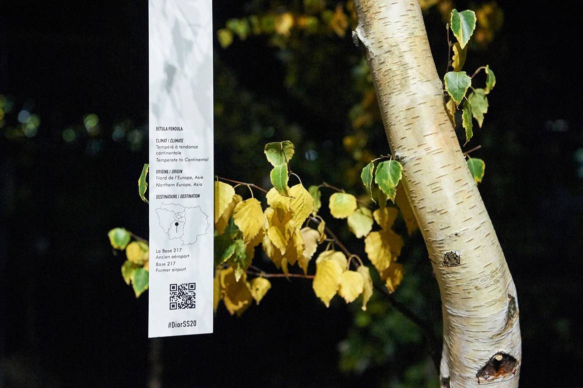 Paris Fashion Week : Dior recrée un jardin durable