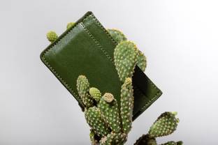 Accessories brand Cacto announces it is carbon-negative