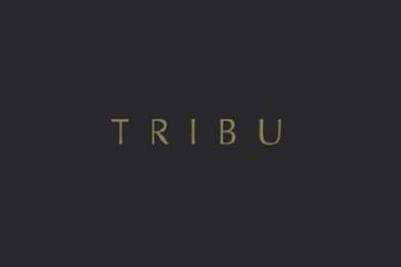  Tribu, la plataforma que busca conectar a toda la industria de moda