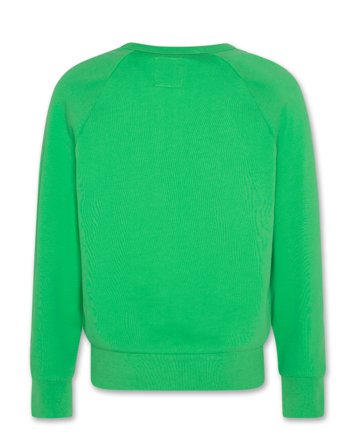 Luis sweater sharks | Ao76