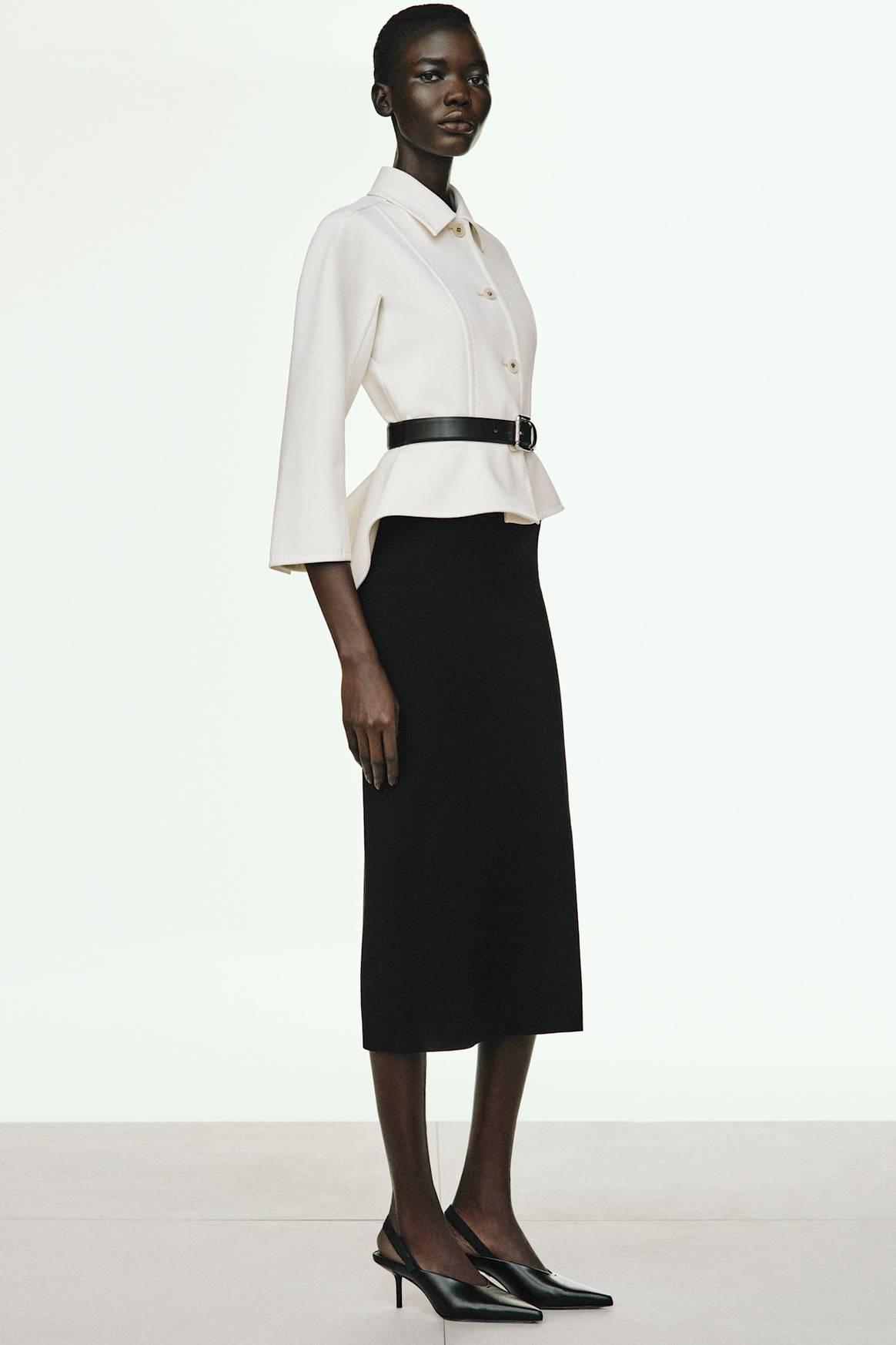 Max Mara Pre-Fall 25