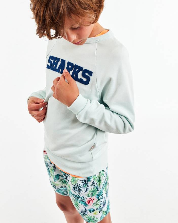 Tahiti swimshorts | Ao76