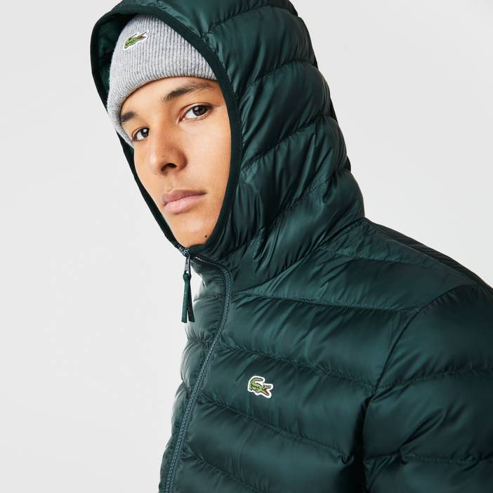 Herren Lacoste Steppjacke mit Kapuze | Lacoste