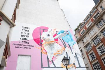 The Body Shop and Dove join forces to end animal testing in Europe