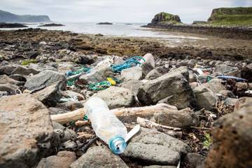 Selfridges bans all single-use plastic bottles in its fight against plastic waste