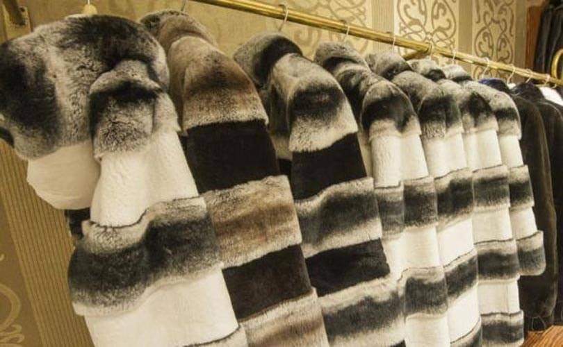 Peta teams up with Liberty to give fur coats to the homeless