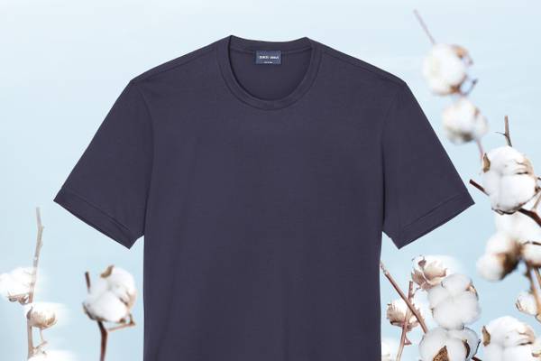 Il Gruppo Armani annuncia i primi risultati dell'Apulia regenerative cotton project