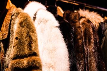 Heel Europa bontvrij: dierenwelzijnsorganisaties zamelen handtekeningen in