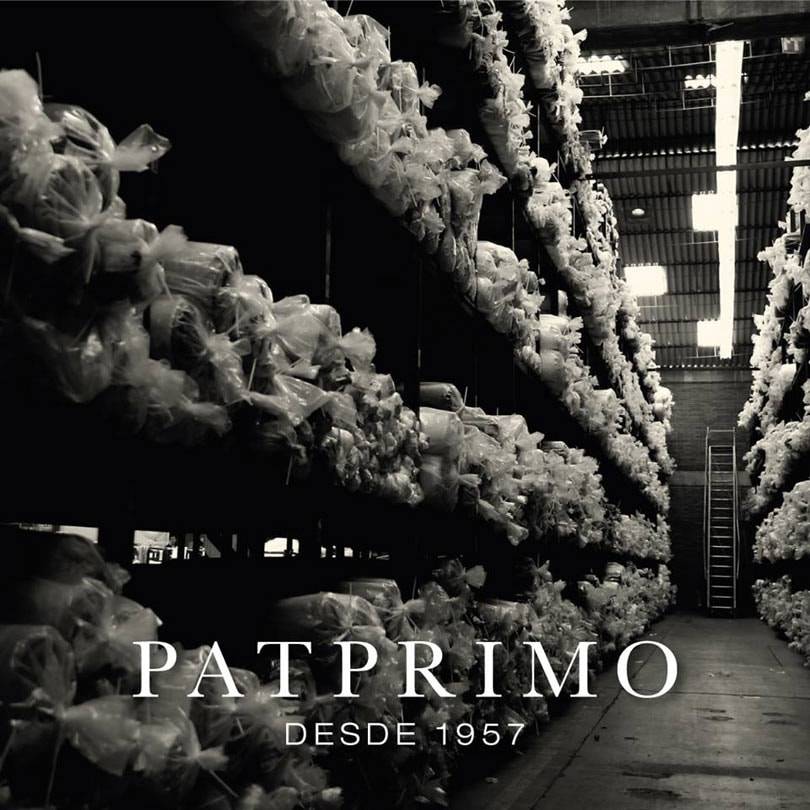 Datos y cifras de marcas de moda de Colombia: PatPrimo