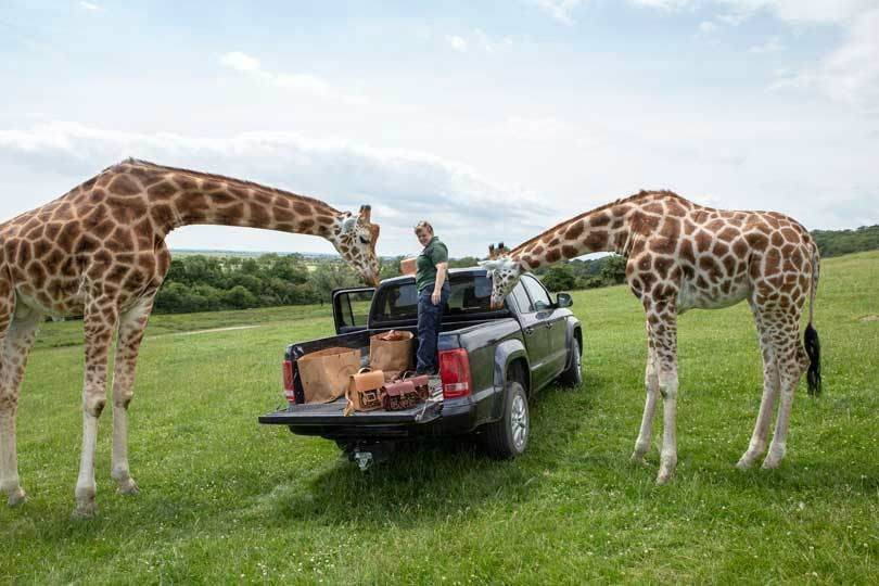 Cambridge Satchel Company: neue Giraffenkollektion für den Tierschutz