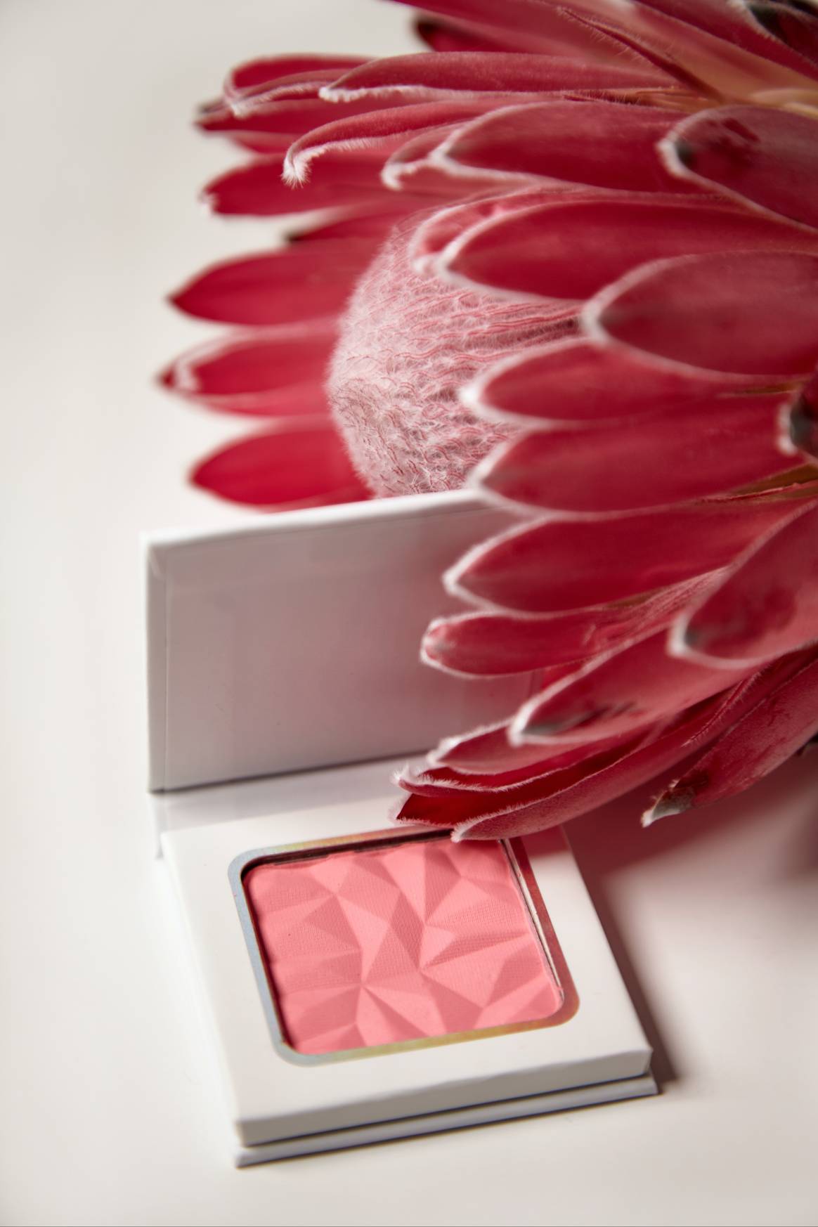 Rubor inspirado en tonos florales.