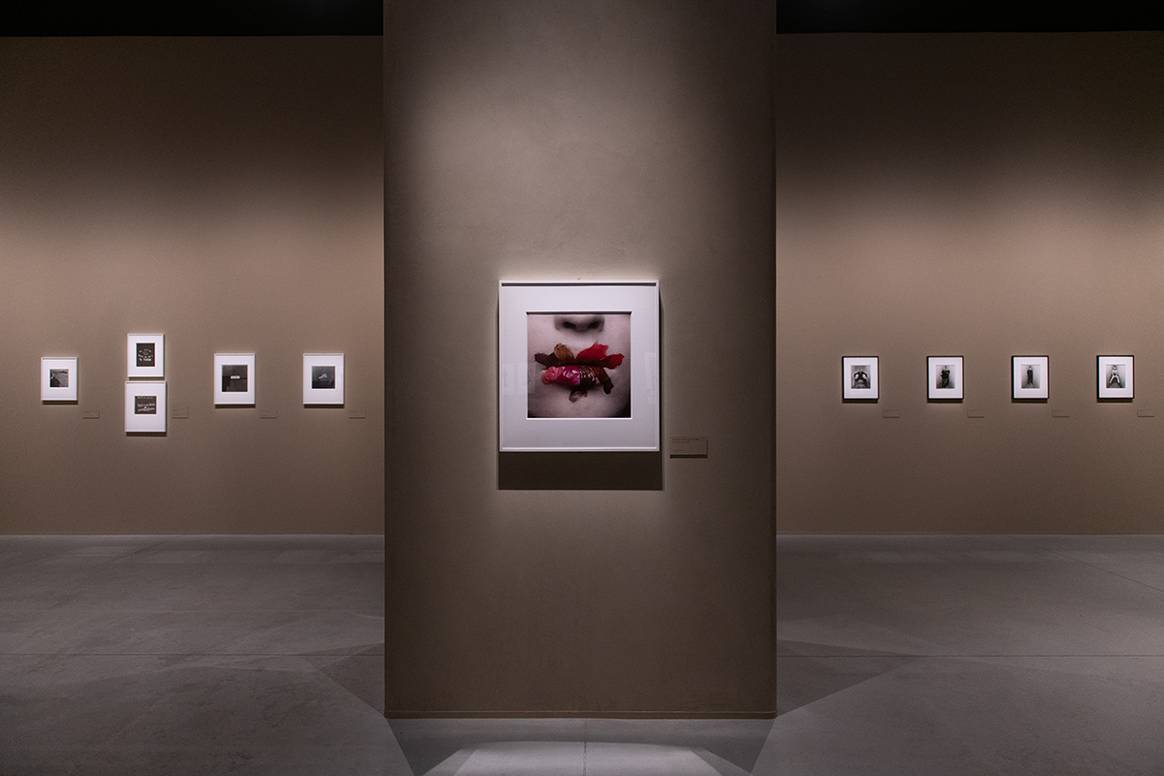 Exposición “Irving Penn: Centennial”, del 23 de noviembre de 2024 al 1 de mayo de 2025 en el Centro MOP del Muelle de Batería de La Coruña, Galicia (España).