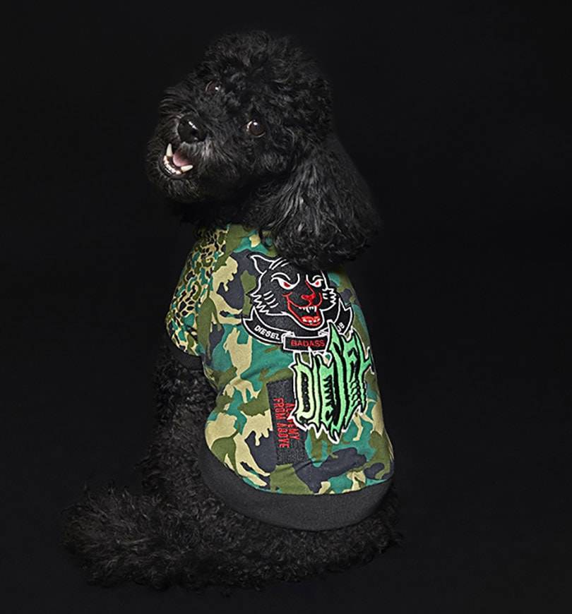 Diesel steps into petwear with collection for dogs