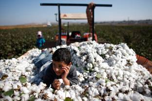 Risk of Syrian conflict cotton in your closet worries manufacturers