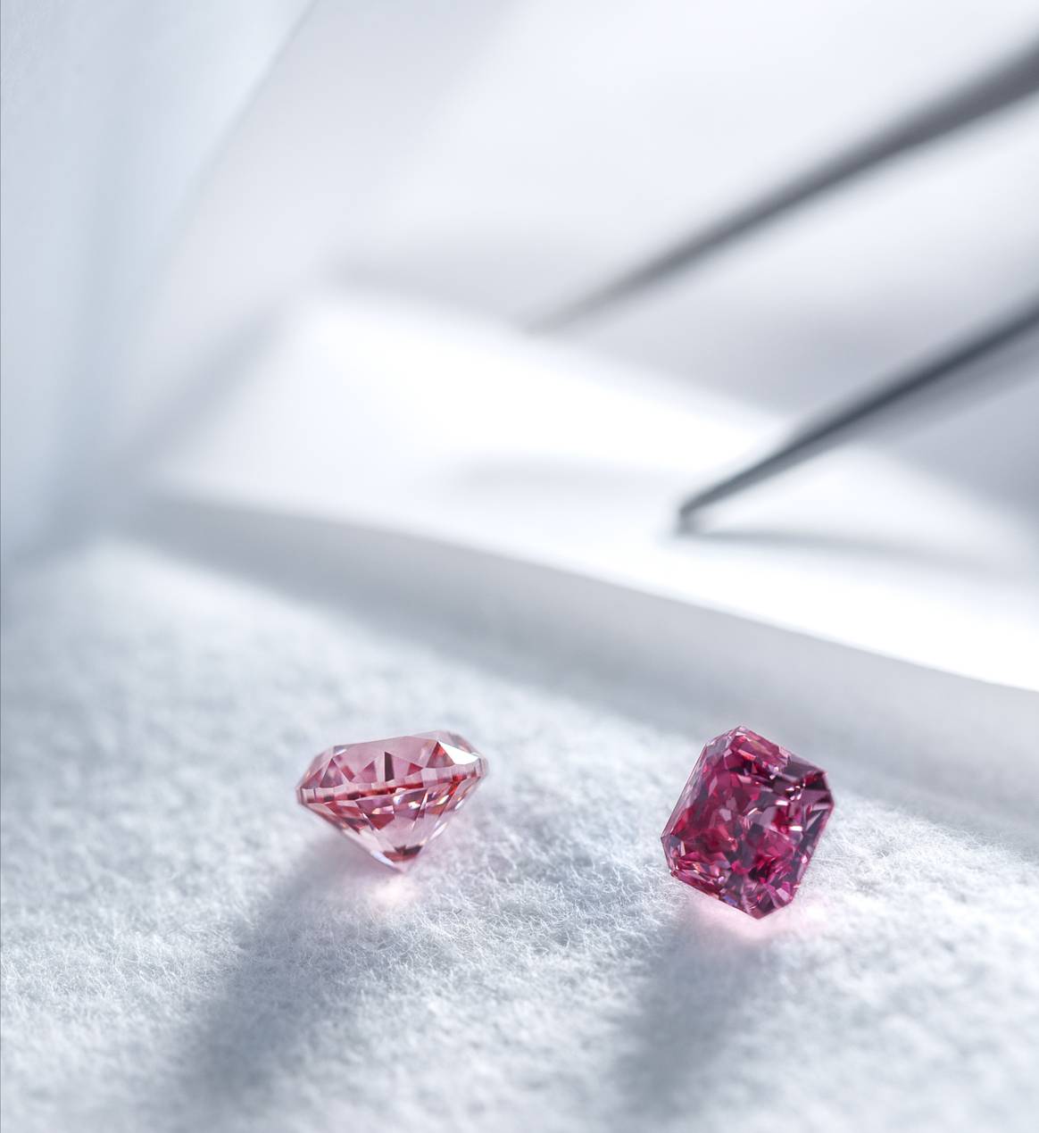 Image: Tiffany & Co.; Argyle Pink diamonds