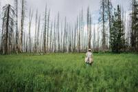 Zegna lancia un'iniziativa di conservazione ambientale ad Aspen