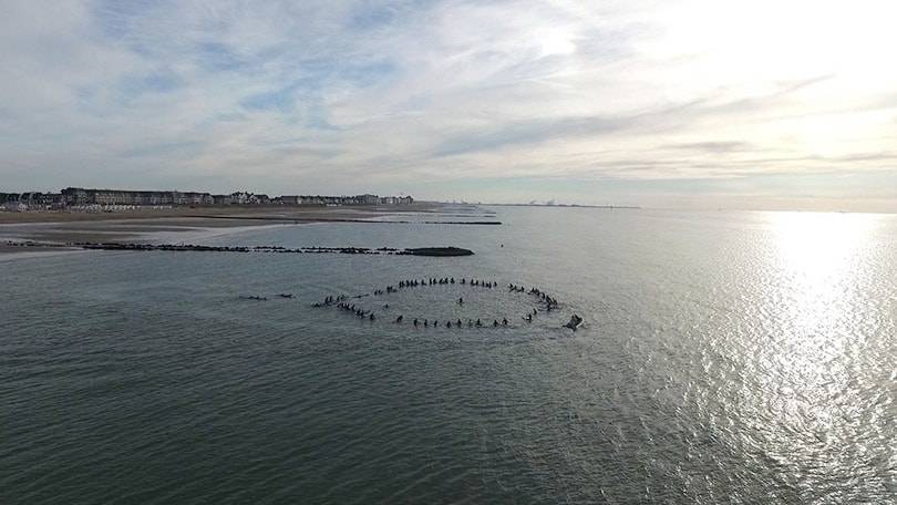 Thousands of surfers come together to honour the late Jack O'Neill