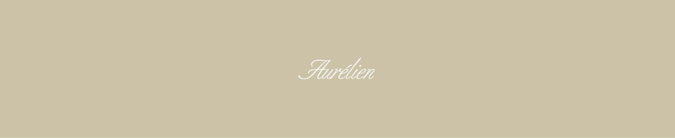 Company Profile header Aurélien