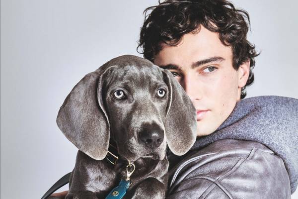 In vendita la nuova collezione Poldo Dog Couture per Giorgio Armani
