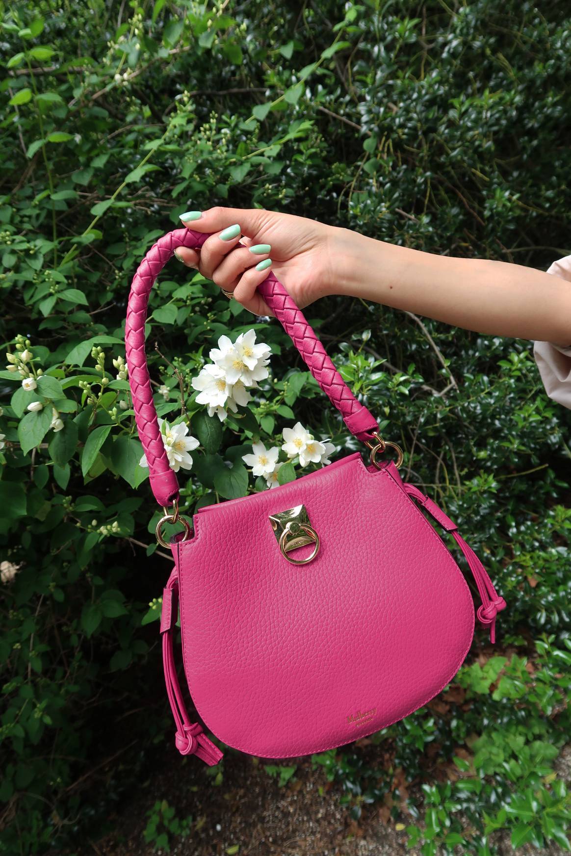 Image: Mulberry