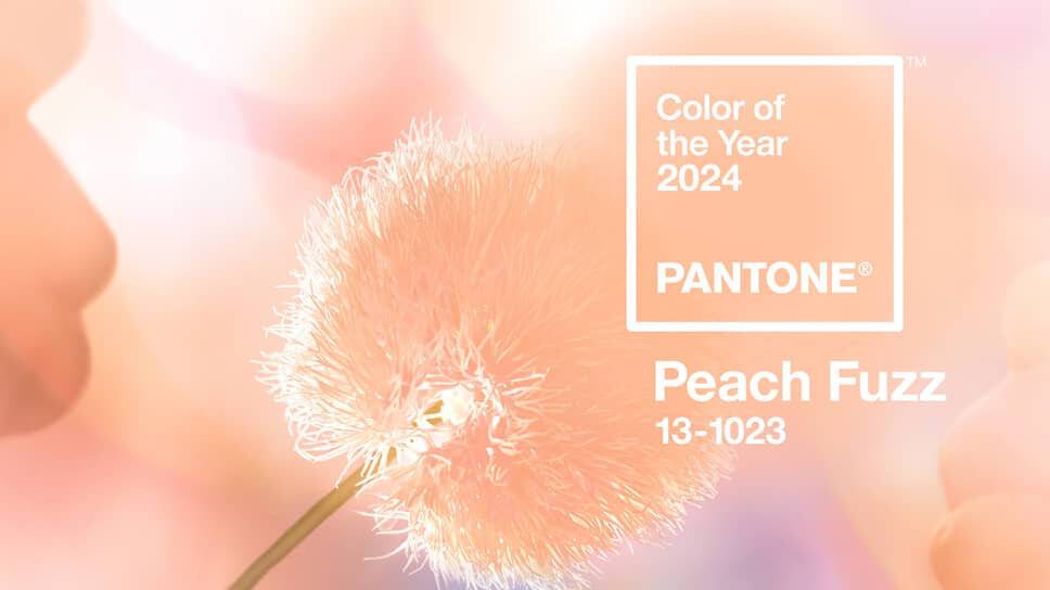 Credits: Pantone
